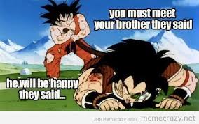 Goku And Raditz