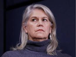 DND probes into ombudsman's staff exposed as shoddy, lacking evidence