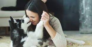 How To Become A Pet Sitter