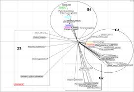 Maybe you would like to learn more about one of these? A Review Of Cameroonian Medicinal Plants With Potentials For The Management Of The Covid 19 Pandemic Springerlink