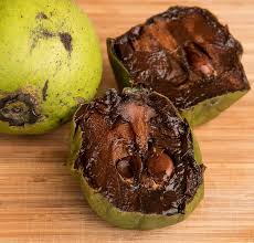 The black sapote is an evergreen subtropical fruit tree , which is native to central america and mexico and cultivated for its tasty fruit. Fruit Sweet Black Sapote Chocolate Pudding Fruit Diospyros Nigra Food Persimmon Ripe Australia Pikist