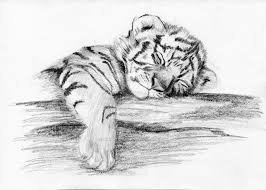 Pin By Apirl Gilliland On Printables Tiger Tattoo Small Tiger Tattoo Tiger Drawing