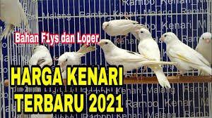 Burung kenari jenis f1 akan memiliki kemampuaan beradaptasi yang untuk harga kenari f1 ys ini memang memiliki harga yang relatif cukup tinggi jika dibandingkan dengan kenari lokal pada umumnya, akan tetapi. Harga Kenari Terbaru 2021 Bahan F1ys Dan Loper Grosir Dan Ecer Kenari Malang Youtube