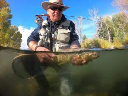 Trout Fishing In Arkansas In 2021 Fly Fisher Pro In 2021