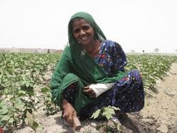 5 feet 7 inches in cm =. Pakistani Women S Growing Particpation In Workforce