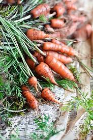 Carrot The Last Crops From My Garden Fruits Et Legumes Frais Fruits Et Legumes Nature Morte Fruits