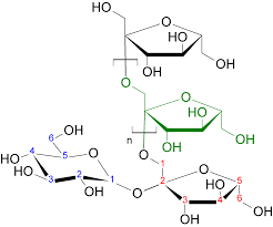 Inulin Wikipedia