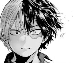 We did not find results for: Shoto Todoroki Manga Album On Imgur
