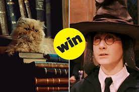 What Hogwarts House Does Your Pet Really Belong In Dog Quiz Harry Potter Pets Harry Potter Quizzes