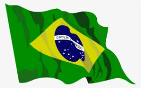 Download the following flag wallpapers by clicking on your desired image and then click the orange download button. Brazil Flag Png Free Hd Brazil Flag Transparent Image Pngkit