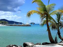 Magnificent protected hiking trails, intriguing mangrove tours, and canyoning adventures; Martinique Martinique Fort De France Hd Travel Photos And Wallpapers Fort De France Travel Photos Martinique