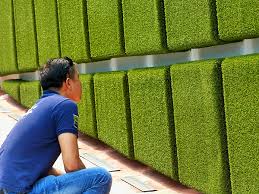 Maybe you would like to learn more about one of these? Artificial Grass Pyramids In Kuala Lumpur Royal Grass
