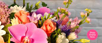 We did not find results for: Florists In Glasgow Flower Delivery By Have Fun With Flowers