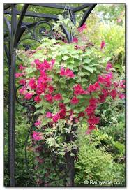 Pin On How Does Your Garden Grow