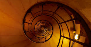 The head forms a goldenrectangle with the eyes at its midpoint. ç¾Žå¥½çš„æ•¸å­— é»ƒé‡'åˆ†å‰²æ•¸ å¤šå…ƒæ•™æ¡ˆ æŽˆèª²æ©˜