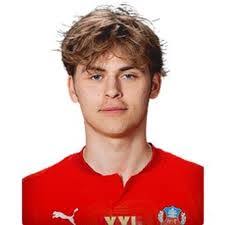 Daniel Bergman's Instagram, Twitter & Facebook