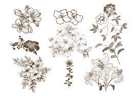 Neue plattformübergreifende funktionen zum sicheren bearbeiten pixelgenauer bilder. Hand Drawn Floral Brush Pack Free Photoshop Brushes At Brusheezy