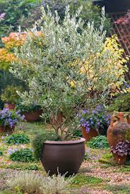 Pin On Plantings