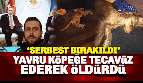 Yavru Kopege Istismar Ederek Olduren Volkan Uzun Isimli Sahis Serbest