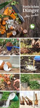 Statt Kunstdunger Naturlich Dungen Mit Pflanzen Und Kuchenabfallen Bio Dunger Lasst Container Gardening Vegetables Artificial Plants Indoor Artificial Plants