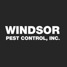 With only two vaccines instead of three, federal officials expect to have enough doses to cover at. Windsor Pest Control Home Facebook