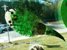 The differences between a frog and a toad. Frog Tadpole Craft Simply White Paper Sponged With Paint Frogs Preschool Frog Activities Spring Lesson Plans