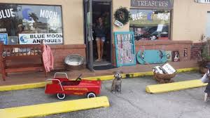 Commercial & residential landscape supplies in cape coral. My Store Picture Of Blue Moon Antiques Cape Coral Tripadvisor