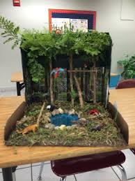 Biome In A Box Project Shoe Box Rainforest Bing Images Tracylynncruz Habitats Projects Ecosystems Projects Rainforest Project