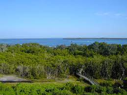 The course will be a fast out and back from the entrance of the park to the point and back on a mix of crushed gravel trails and road. Emerson Point Preserve Portavent Mound Florida Hikes