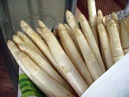 Image result for Asparagus migeodii