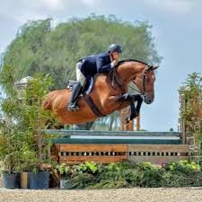 KVS TEAM FEATURE 🚨 Troy Hendricks...