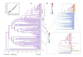 Calculate the pairwise divergence of a sliding window over an msa. Sustech Collaborative Research Makes Progress In Understanding Microbial And Geological Co Evolution