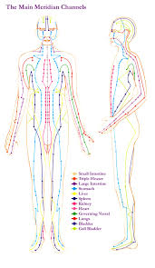 Acupuncture Galway Fertility Acupuncture Acupuncture