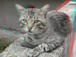 3d Anaglyph Foto Pisica Hd Wallpapers 3d Photo 3d Photography Photo