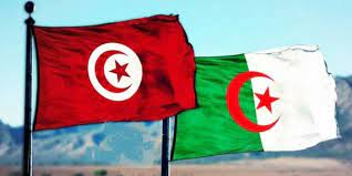 La victoire même si elle est logique, n'effacera pas quelques. Tunisie Football En Twitter Bon Courage A L Algerie Pour Sa Demi Finale Face Au Nigeria En Esperant Cette Fois Un Arbitrage De Meilleur Qualite Can2019 Algerie Tunisie Https T Co Cg8885bk5o
