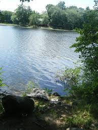 Wolf Hill Forest Preserve Smithfield Ri Greathikes Hikingrhodeisland Smithfield Rhodeisland Forest Preserve Forest Rhode Island