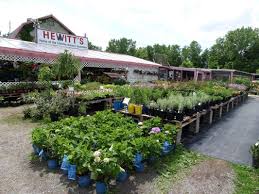 Buy perennials, annuals, planters, top soil and more at this independent retail garden center based in the capital region. Hewitt S Garden Centers Clifton Park 1582 Route 9 Halfmoon Ny Nurseries Mapquest