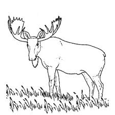 This dog house page will let a colorist's imagination soar and provide endless hours of fun. Moose Walking Alone Coloring Page Kids Play Color