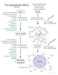 molecular interactions noncovalent interactions