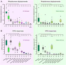 Your changes has been saved. Binocular Mirror Symmetric Microsaccadic Sampling Of Hyperacute 3d Vision Biorxiv