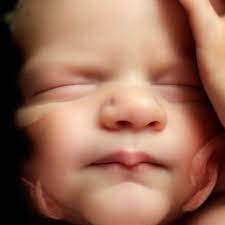 🍯☀️Wild Child🌼💛