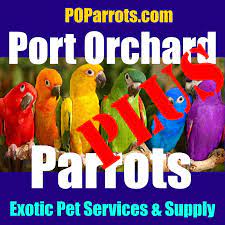 Our pet store services include: Port Orchard Parrots Exotic Pet Supply Startseite Facebook