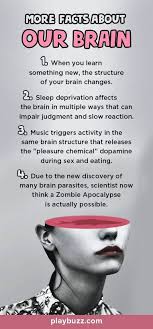 10 random questions yet no one can seem to master them all can you psychology facts brain structure facts