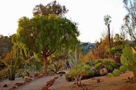 We did not find results for: Old Cactus Garden Hidden San Diego