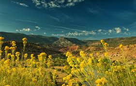 Wallpaper with mineral, vegetable, animal or textile effects. Wallpaper The Sky The Sun Flowers Mountains River Yellow Valley Usa Closeup New Mexico Abiquiu Images For Desktop Section Pejzazhi Download