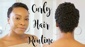 After you moisturize your hair, seal it in with a natural oil (olive, jojoba, sweet almond, castor, etc.) or butter (shea, mango, etc.) to help lock in the moisture. Twa Curly Hair Routine Wash And Go For Short Natural Hair Type 4 Natural Hair Youtube
