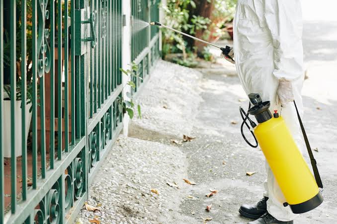 How Often Should You Schedule Pest Control in Southern California?