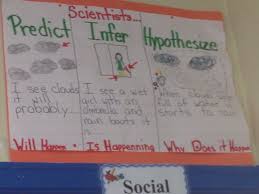 Prediction Hypothesis Or Inference Anchor Chart Teaching Literature Science Notes Science Anchor Charts
