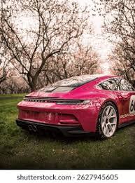 Image result for Ruby Star 2025 Porsche