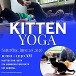 Kitten Yoga